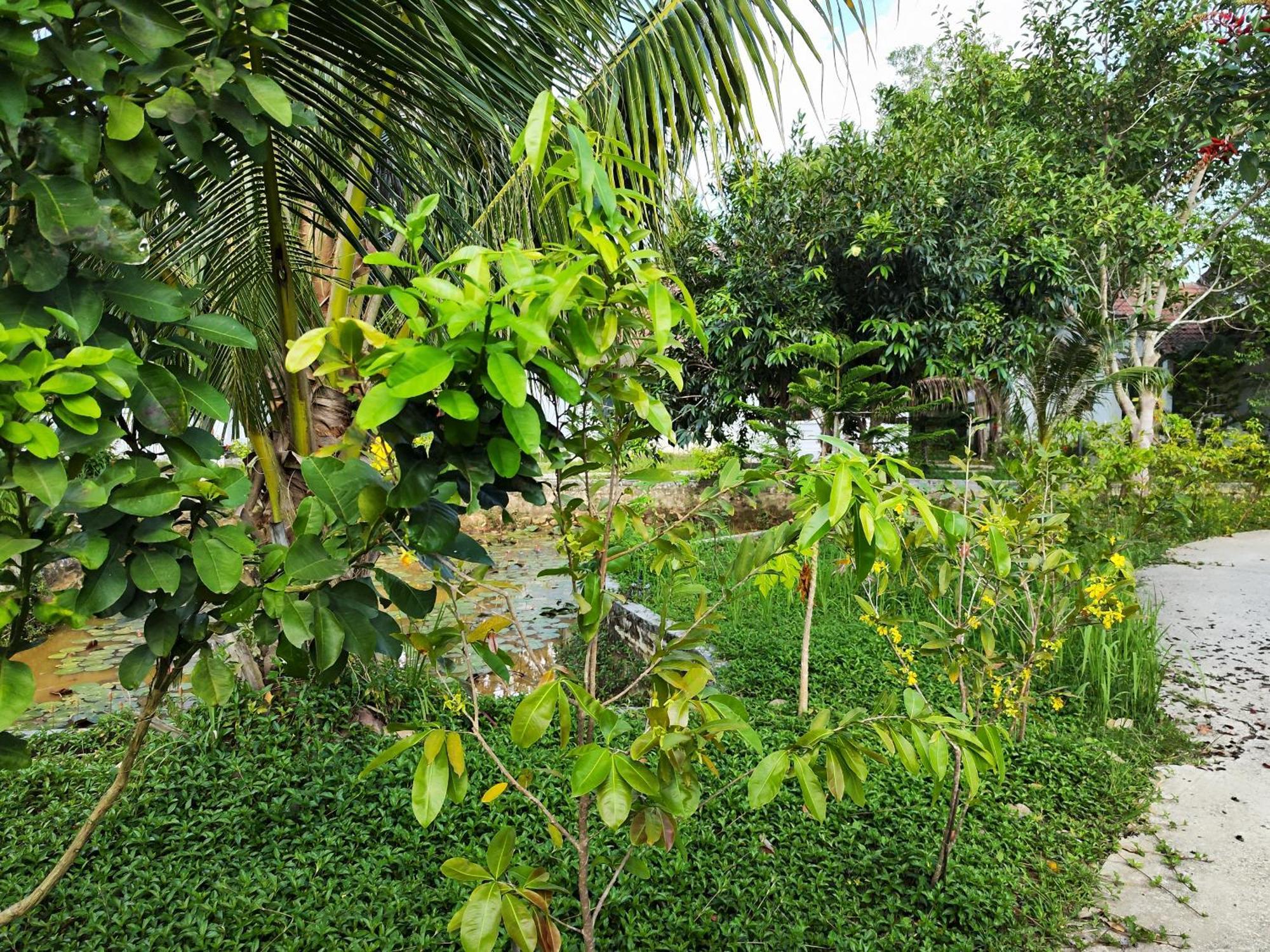 Y Village Resort Phu Quoc Exterior photo